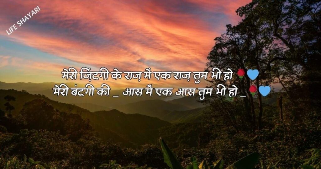 Zindagi Shayari In Hindi | Best 290+ ज़िन्दगी के लिए शायरी हिंदी में